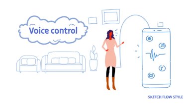 Voice Assistant System