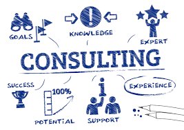 Consultant System