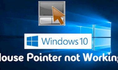 How to fix cursor disappeared in Windows 10