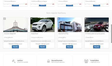 Online Auctioning System