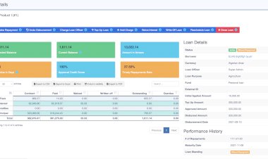Loan Management System