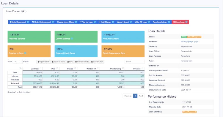 Loan Management System