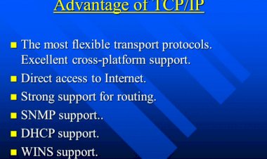 TCP/IP model advantages and disadvantages